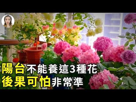 陽台 花|陽台植物不能亂種，推薦 10 款不出錯植栽！